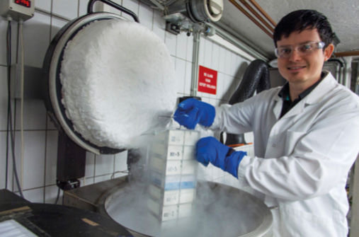 Le cellule cancerogene sono immaginazzate in dei tank di azoto Le cellule cancerogene sono immaginazzate in dei tank di azoto